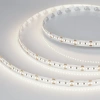 Светодиодная лента MICROLED-M300-8mm 24V Day4000 (8 W/m, IP20, 2216, 5m) (Arlight, Открытый) 023558(2)