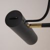 Напольный светильник (торшер) Maytoni MOD129FL-01B