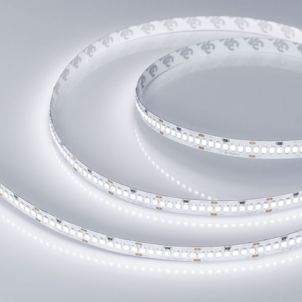 Светодиодная лента RT 2-5000 24V White6000 10mm (2835, 252 LED/m, LUX) (Arlight, 10 Вт/м, IP20) 022648