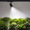 Светильник LGD-GERA-4TR-R90-30W Day SP5000-Veg (Черный, 55 deg, 230V) (Arlight, IP20 Металл, 5 лет) 060008