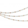 Светодиодная лента NT-A120-8mm 12V White6000 (9.6 W/m, IP20, 3528, 5m) (Arlight, Открытый) 035704