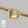 Светильник для трека SHINE SPOT DK5743-SB