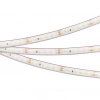 Светодиодная лента герметичная RTW-PS-A120-10mm 24V Warm2700 (9.6 W/m, IP67, 2835, 50m) (Arlight, -) 024579(2)