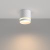 Потолочный светильник NUVOLT LDL-002W