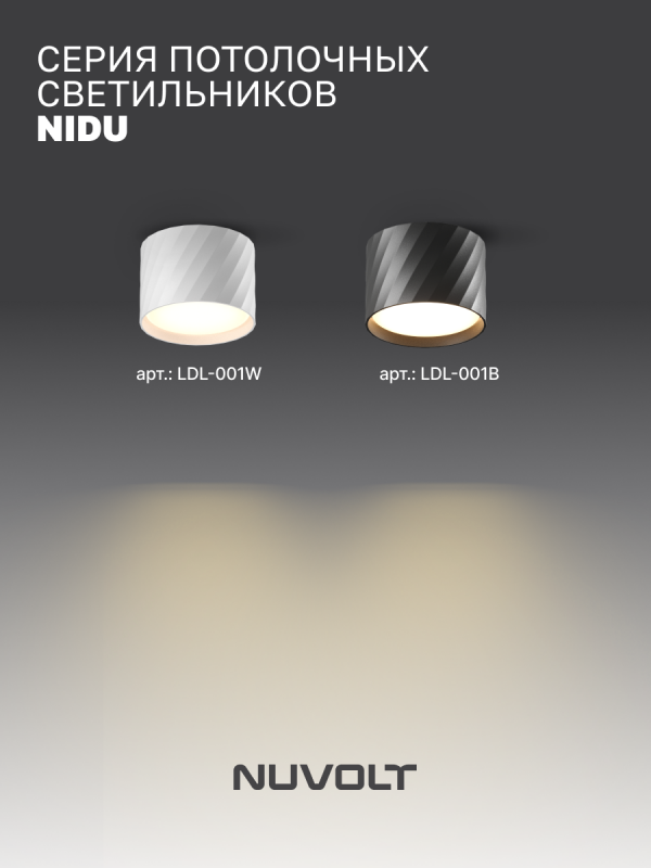 Потолочный светильник NUVOLT LDL-001B