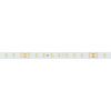 Светодиодная лента ULTRA-A90-10mm 24V Day4000 (4.8 W/m, IP20, 5m) (Arlight, высок.эфф.200 лм/Вт) 036207(1)