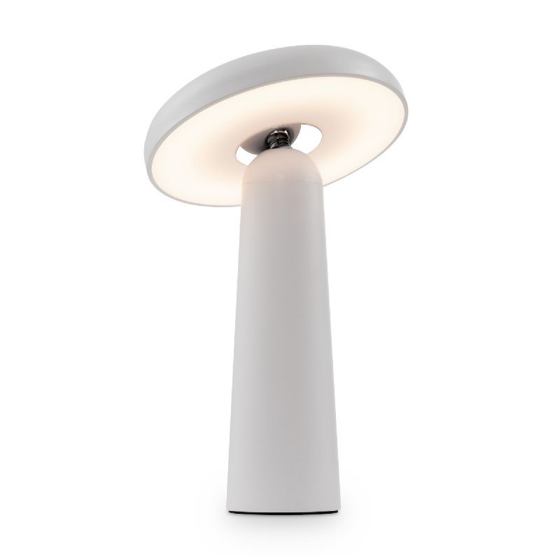 Аккумуляторный светильник Freya FR6109TL-L4W