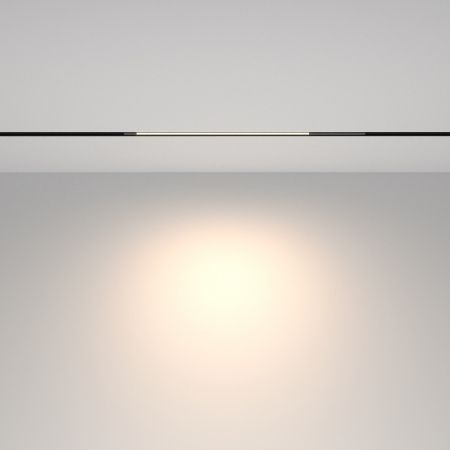 Трековый светильник Technical TR231-2-10W4K-B
