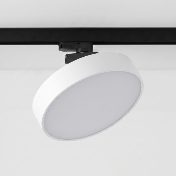 Трековый светодиодный светильник TR-LTD-30W-4000K Turn Black-White