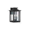 Настенные фонари Quoizel QZ-WAKEFIELD-L-TBK