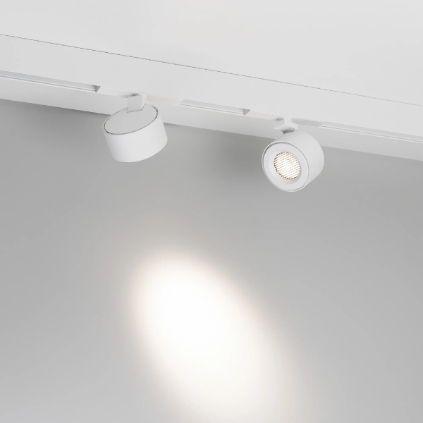 Светильник MAG-ORIENT-POINT-R80-12W Day4000 (WH, 18 deg, 48V) (Arlight, IP20 Металл, 5 лет) 048404