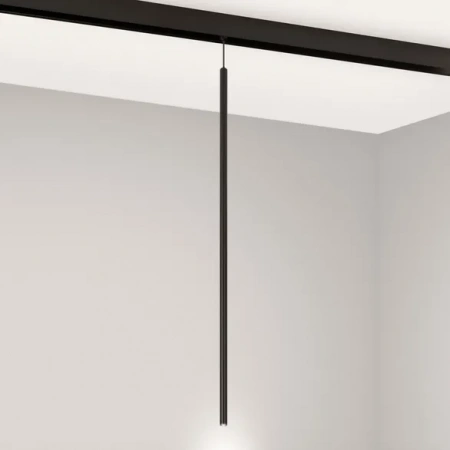Светильник MAG-ORIENT-SPOT-HANG-L600-R12-2W Day4000 (BK, 20 deg, 48V) (Arlight, IP20 Металл, 5 лет) 044501