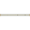 Светодиодная лента IC 2-50000 48V Day4000 12mm (2835, 144 LED/m, LUX) (Arlight, 5.8 Вт/м, IP20) 026833