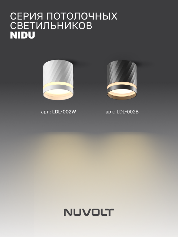 Потолочный светильник NUVOLT LDL-002B