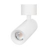Светильник SP-ARTEMIS-SURFACE-FLAP-R55-12W Warm2700 (WH, 8-80 deg, 230V) (Arlight, IP20 Металл, 5 лет) 062248