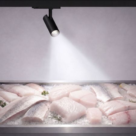 Светильник LGD-GERA-4TR-R90-30W Cool SP7500-Fish (Черный, 24 deg, 230V) (Arlight, IP20 Металл, 5 лет) 059969