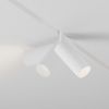 Трековый светильник Technical TR032-2-12W3K-S-W