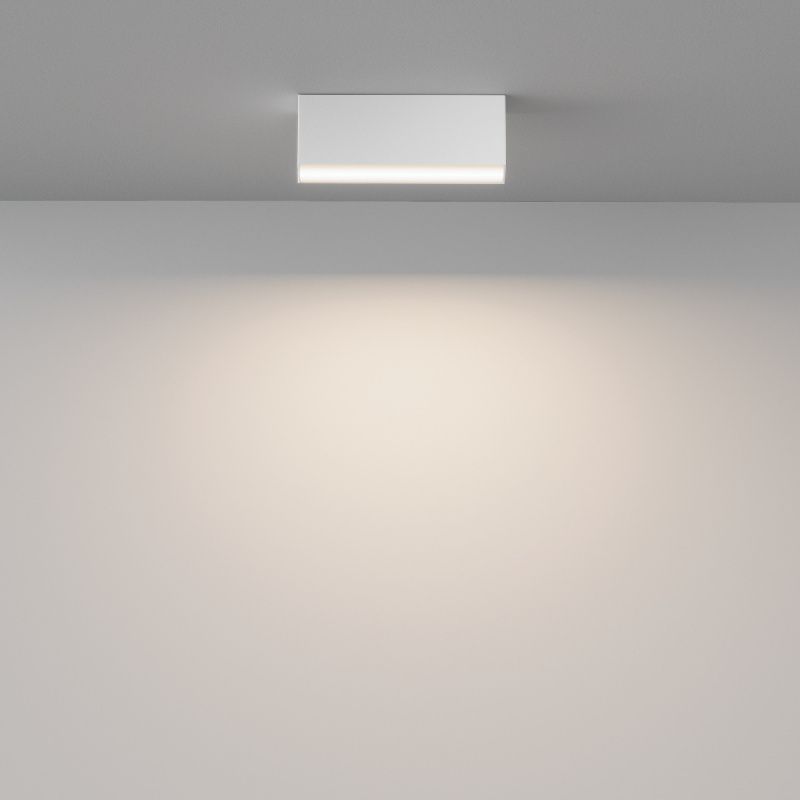 Потолочный светильник Technical C068CL-12W3-6K-W