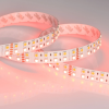 Светодиодная лента RT 2-5000 24V RGB-Day 2x2 (5060, 720 LED, LUX) (Arlight, 32 Вт/м, IP20) 018144(1)
