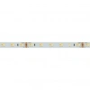 Светодиодная лента RT 6-5000 24V White-MIX 2x (3528, 120 LED/m, LUX) (Arlight, 9.6 Вт/м, IP20) 025211