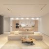 Светильник трековый SHINE SPOT ZigBee DK5944-SB