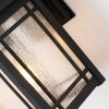 Настенные фонари Quoizel QZ-CEDAR-POINT-M-BK