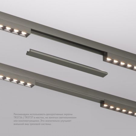 Декоративная заглушка желоба трека SHINE BASE TR5736-DN