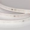 Светодиодная лента герметичная DMX-PS-B70-14mm 24V RGBW-Warm-PX7 (17 W/m, IP67, 5060, 5m) (Arlight, CRI>90) 056722