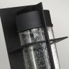 Настенные фонари Quoizel QN-EAMES-LED-L-EK