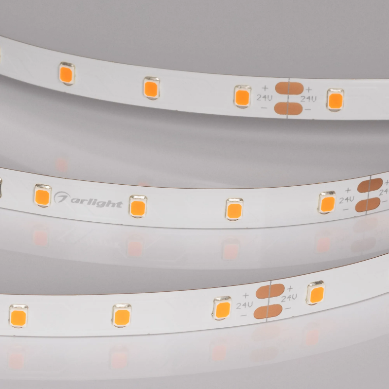 Светодиодная лента RT-A60-8mm 24V Carrot (4.8 W/m, IP20, 5m) (Arlight, -) 055375