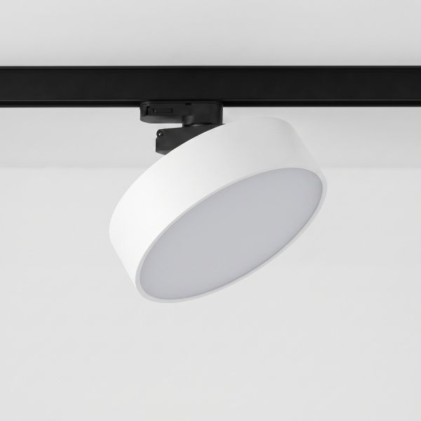 Трековый светодиодный светильник TR-LTD-20W-4000K Turn Black-White