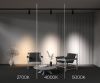Трековый светильник Technical TR197-3-30WCCT-M-B