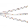 Светодиодная лента герметичная RTW-PFS-A60-11mm 12V Day4000 (4.8 W/m, IP68, 2835, 5m) (Arlight, -) 033664