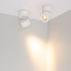 Светильник SP-POINT-SURFACE-R85-12W Warm3200-MIX (WH, 36 deg, 230V) (Arlight, IP20 Металл, 5 лет) 058616