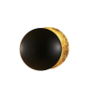 Настенный светильник F098/D250 Black/Gold