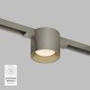 Светильник для трека SHINE SPOT DK5743-DN