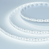 Светодиодная лента MICROLED-M300-8mm 24V Cool 8K (8 W/m, IP20, 2216, 5m) (Arlight, 8 Вт/м, IP20) 028617(2)