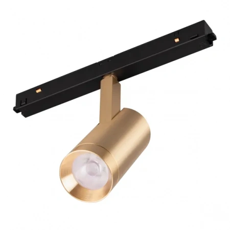 Светильник MAG-ORIENT-SPOT-R45-12W Day4000 (GD, 24 deg, 48V) (Arlight, IP20 Металл, 5 лет) 040889