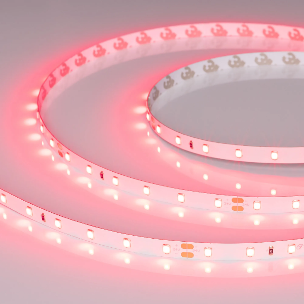 Светодиодная лента RT-A60-8mm 24V Ruby (4.8 W/m, IP20, 5m) (Arlight, -) 055374