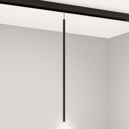 Светильник MAG-ORIENT-SPOT-HANG-L600-R12-2W Day4000 (BK, 20 deg, 48V) (Arlight, IP20 Металл, 5 лет) 044501