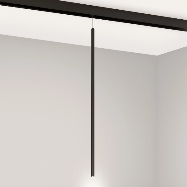Светильник MAG-ORIENT-SPOT-HANG-L600-R12-2W Day4000 (BK, 20 deg, 48V) (Arlight, IP20 Металл, 5 лет) 044501